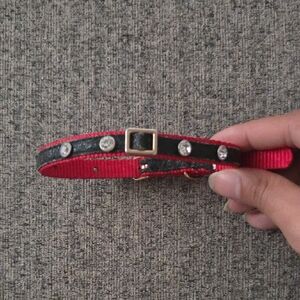 Stylish Red and Black Dog Collar